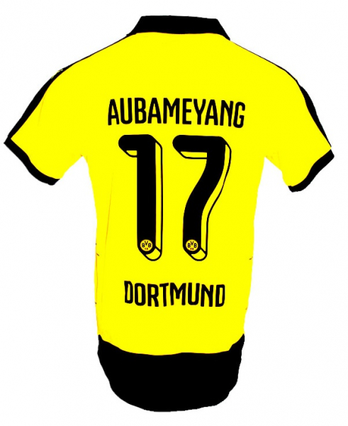 Puma Borussia Dortmund jersey 17 Pierre-Emerick Aubameyang 2015/16 home new team signed BVB men's M